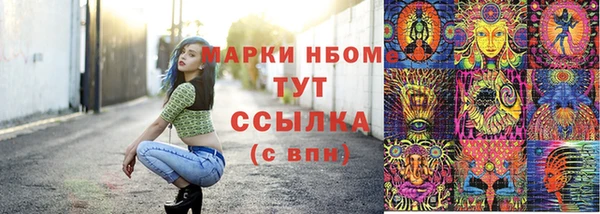 шишки Абинск